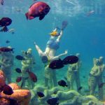 snorkeling the nest statues