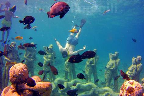 snorkeling the nest statues