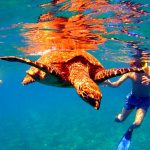 gili trawangan snorkeling tour