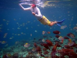 Swimming with tropical fishes