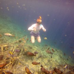 free diving / apnée