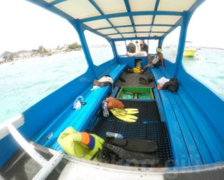 snorkeling boat / le bateau de randonnée palmées