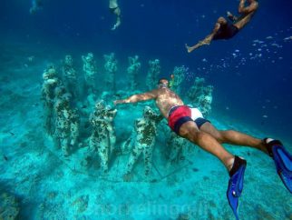 gili snorkeling swim with turtles