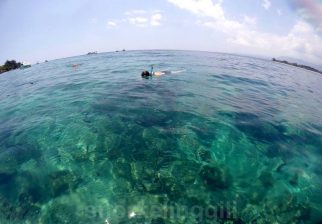 gili snorkeling trawangan meno air