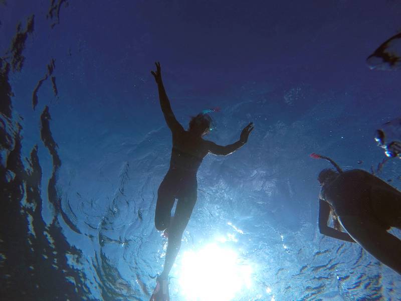 snorkelers