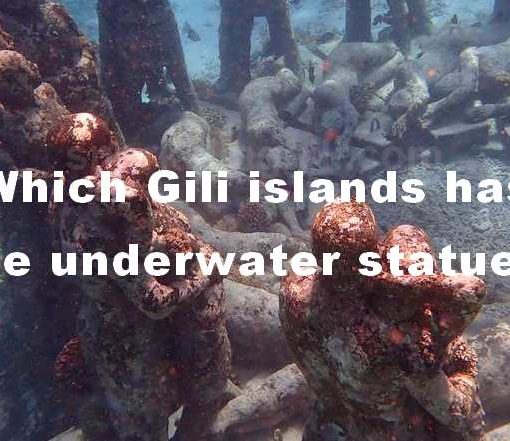 sculpture gili islands